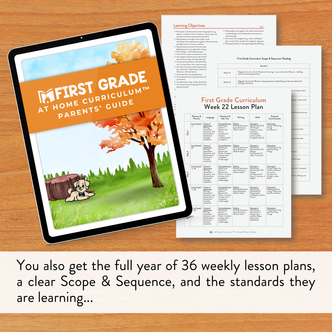 First Grade Curriculum