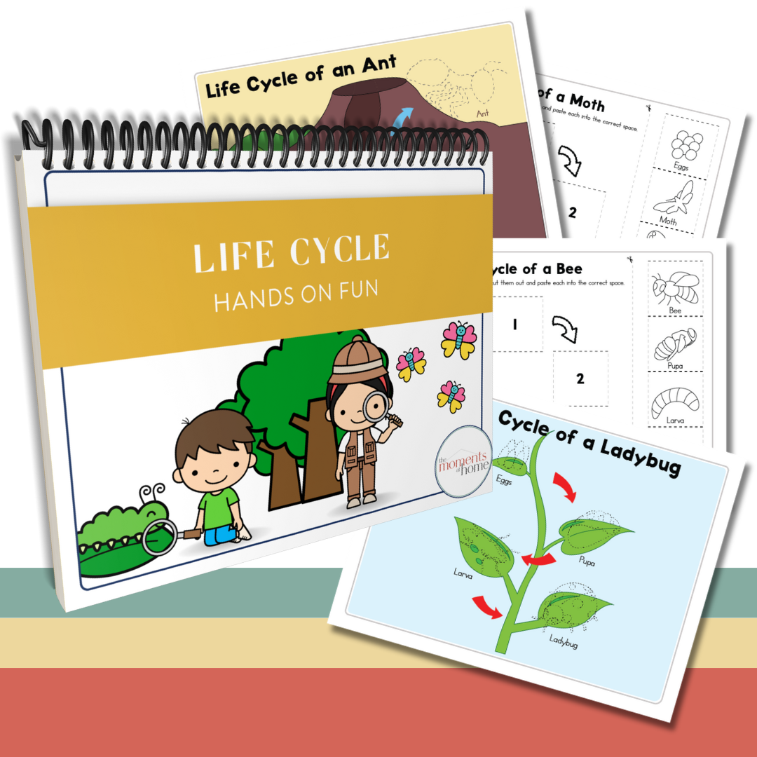 Preschool  Deluxe Activity Bundle