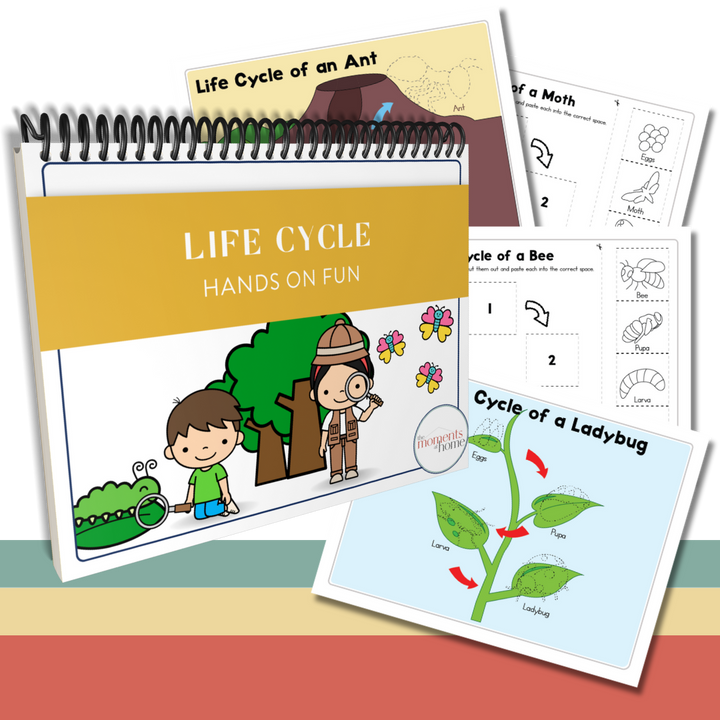 Preschool  Deluxe Activity Bundle