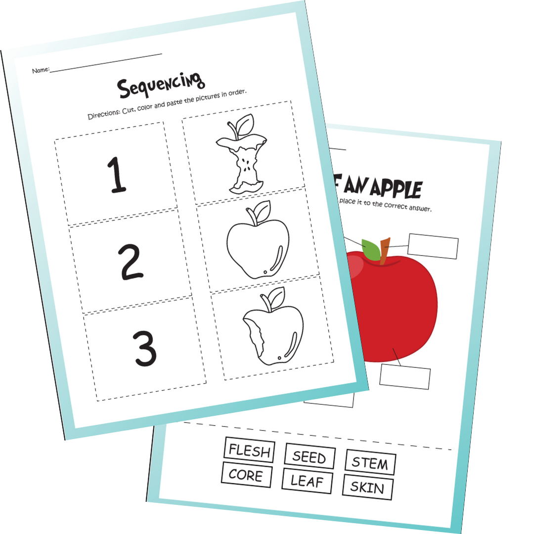 Plants Life Cycle Activity Bundle