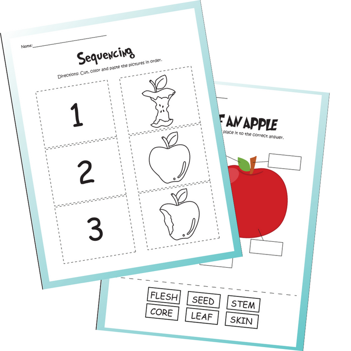Plants Life Cycle Activity Bundle