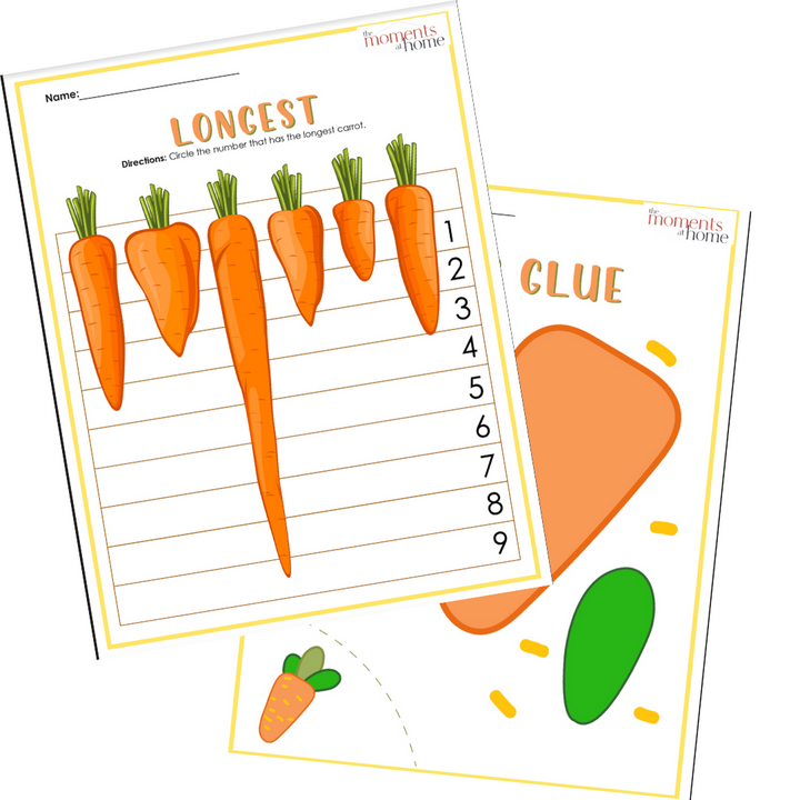 Plants Life Cycle Activity Bundle