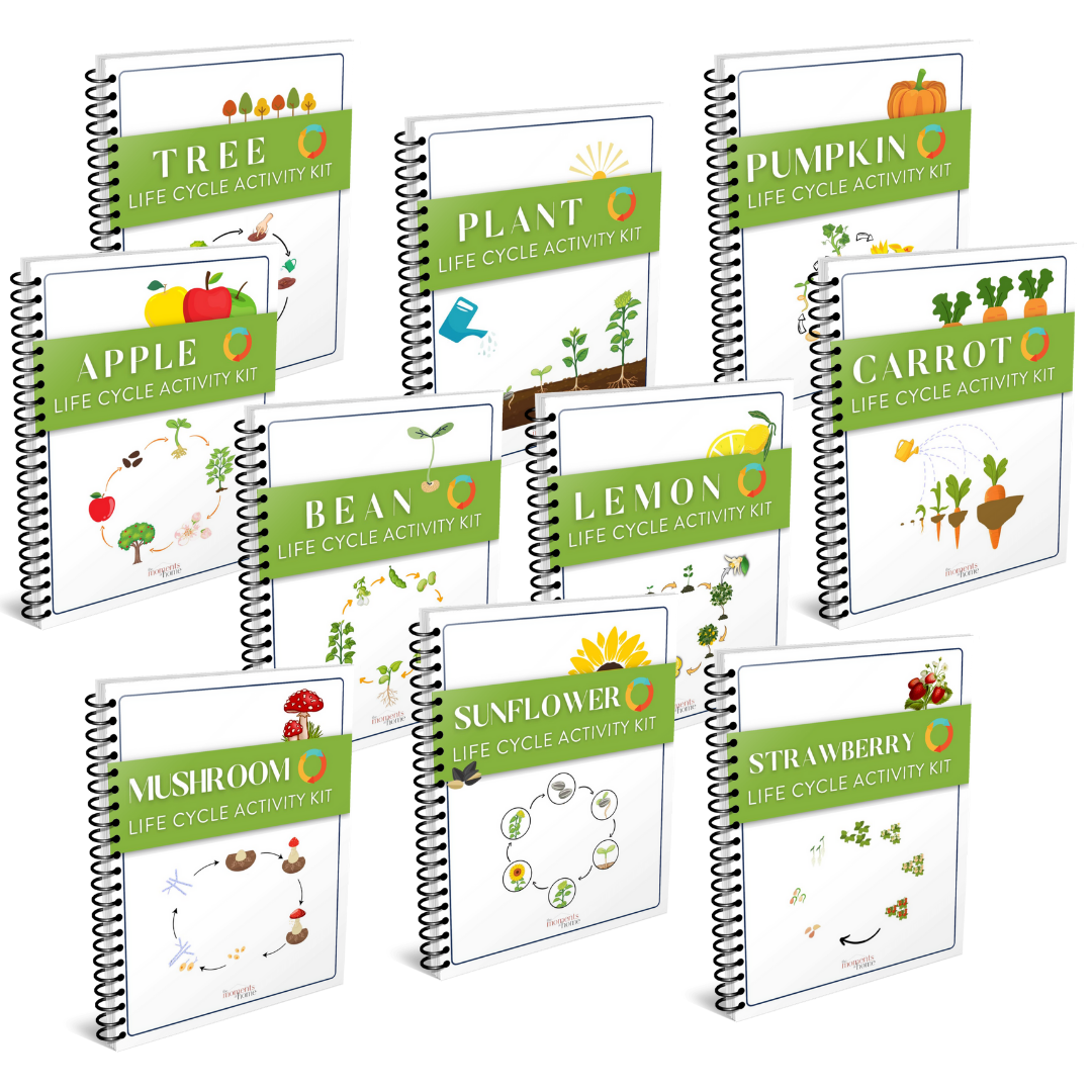 Plants Life Cycle Activity Bundle