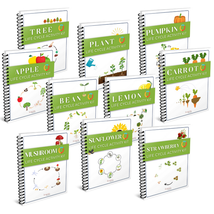 Plants Life Cycle Activity Bundle
