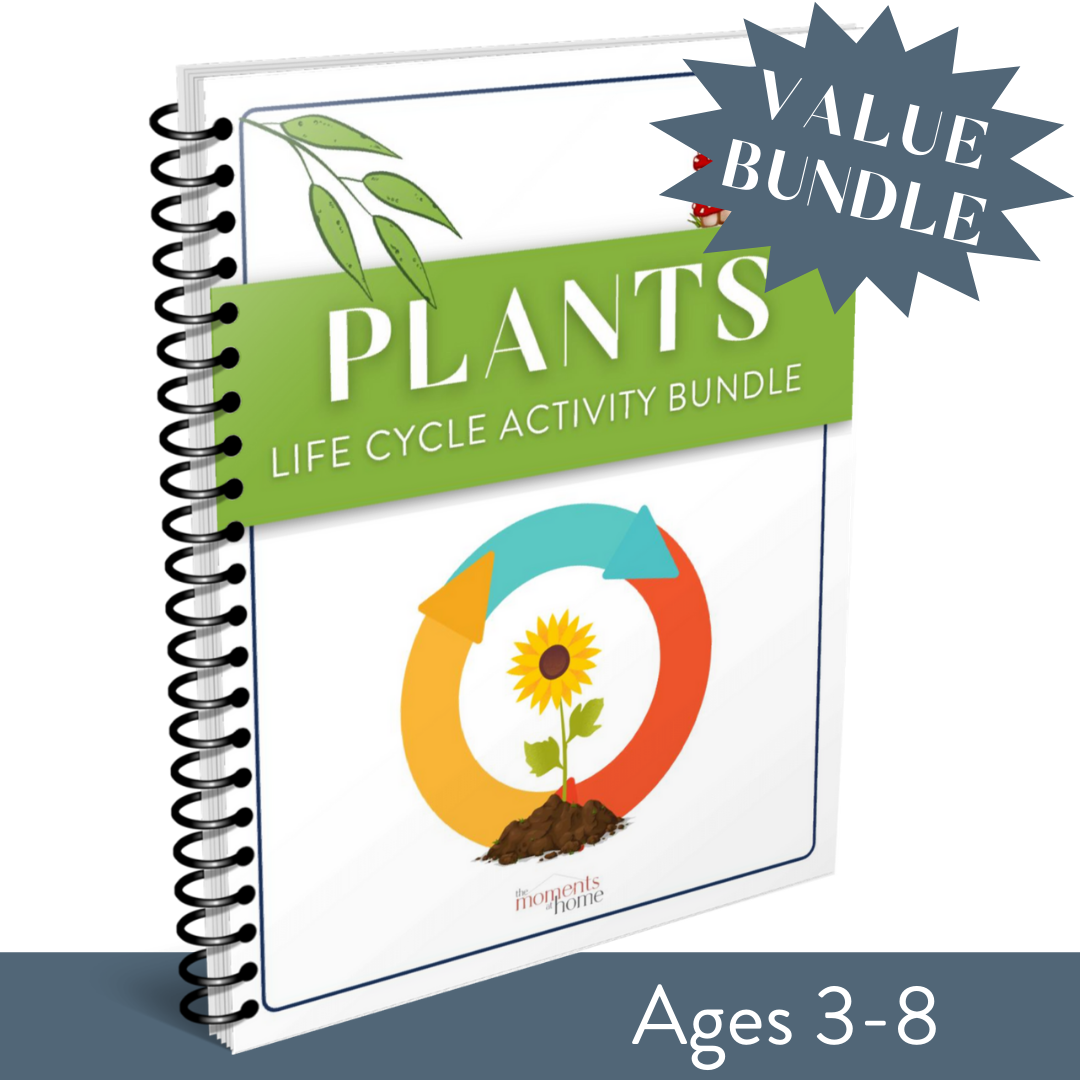 Plants Life Cycle Activity Bundle